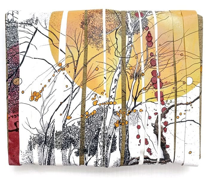 5.-Interferencias pequeñas V Técnica mixta smalla de gallinero 27x34cm, 700