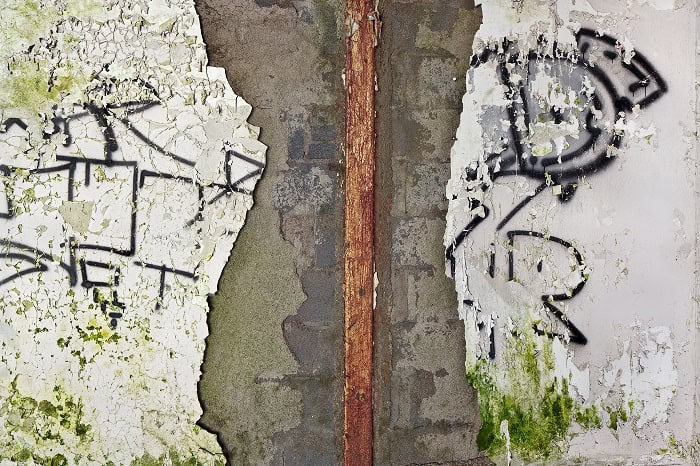 AVERY DANZIGER©2020 _ALL RIGHTS RESERVED