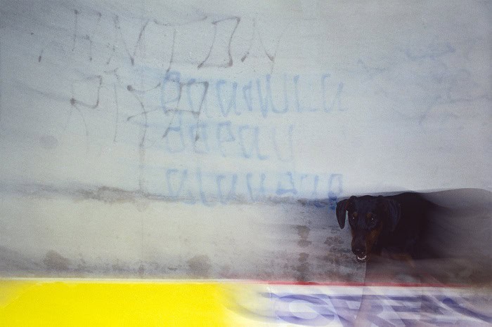 AVERY DANZIGER©2020 _ALL RIGHTS RESERVED